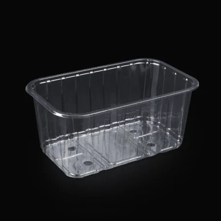 Caserole Fructe cu Capac Separat