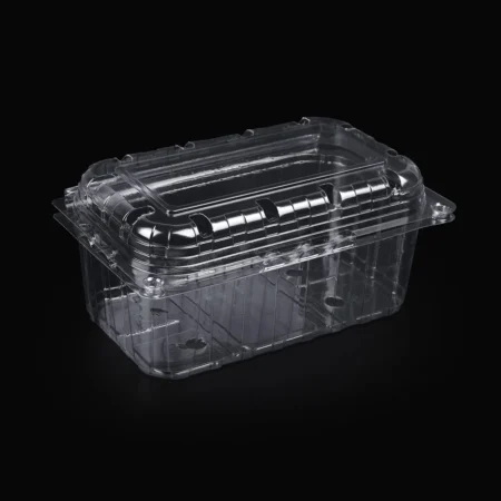 Caserole Fructe cu Capac Atașat